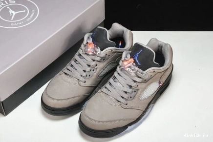 Jordan Low “PSG” Air 5 1202